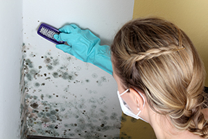 lady scrubbing mold off wall